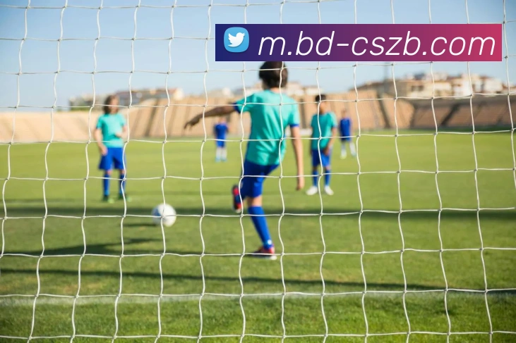 App Interface Preview